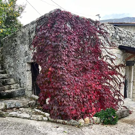 Casa Mupi